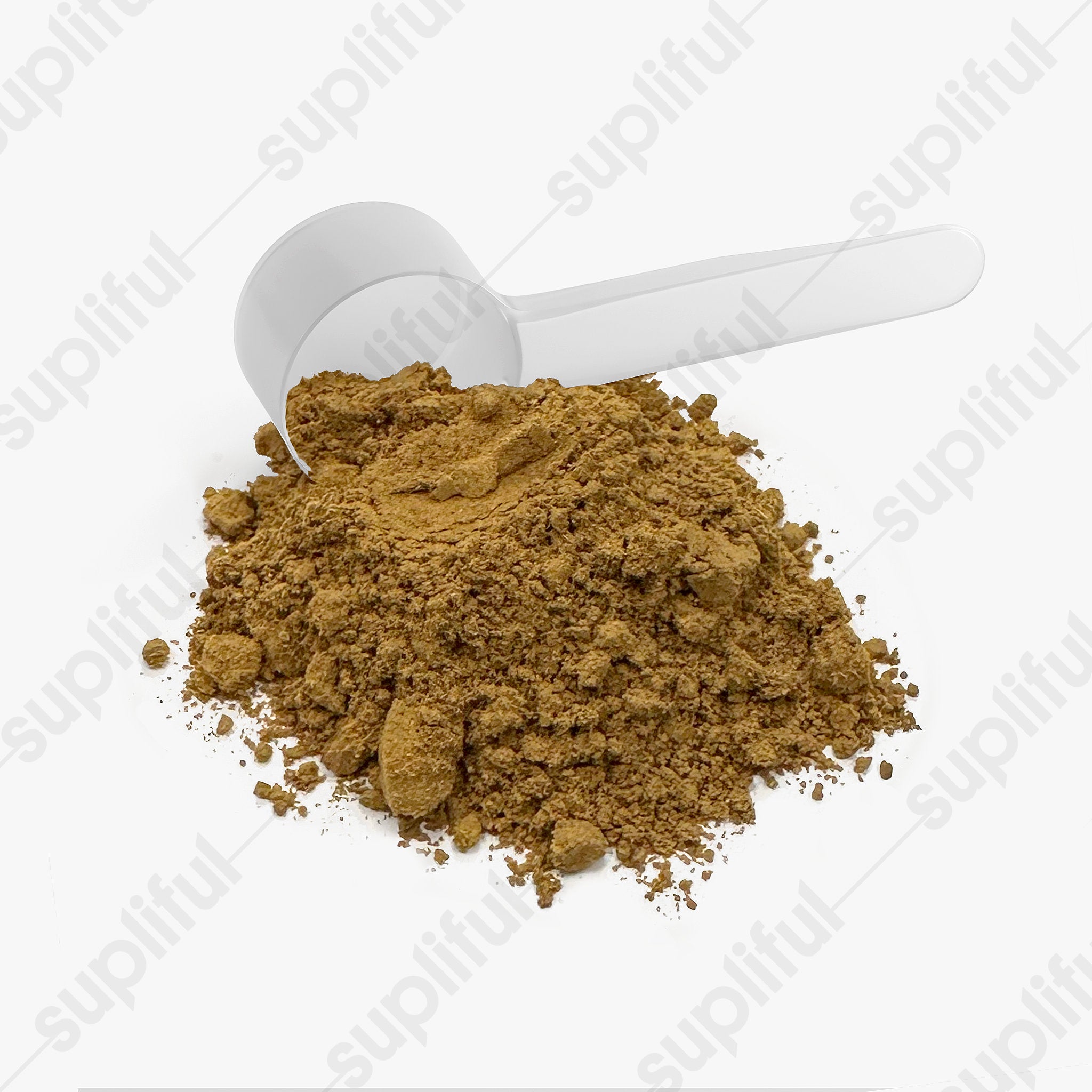 Lion's Mane Mushroom Coffee – Medium Roast
